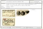 Karteikarte zum Holotyp von Discorbina semiorbis Karrer, 1868
